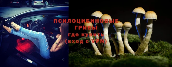 амфетамин Богородицк
