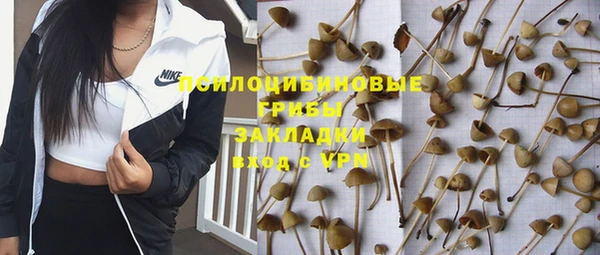 ешки Семёнов