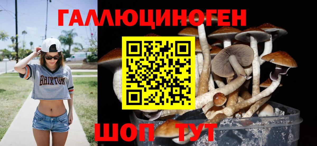 Псилоцибиновые грибы Magic Shrooms  Вход с VPN  Великие Луки 